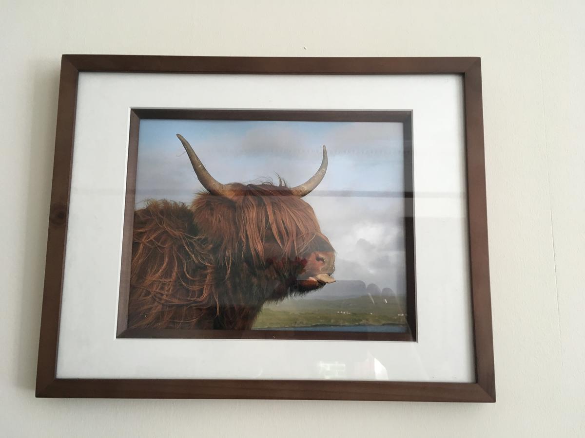 Kinnoch Lodge อินเวอร์เนส ภายนอก รูปภาพ